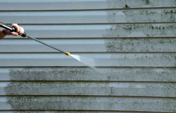 Local Pressure Washing Services in Fruitland, MD