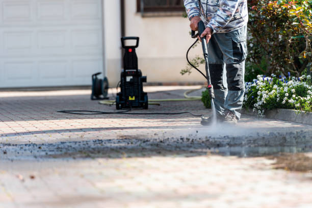Best Local Pressure Washing Services  in Fruitland, MD