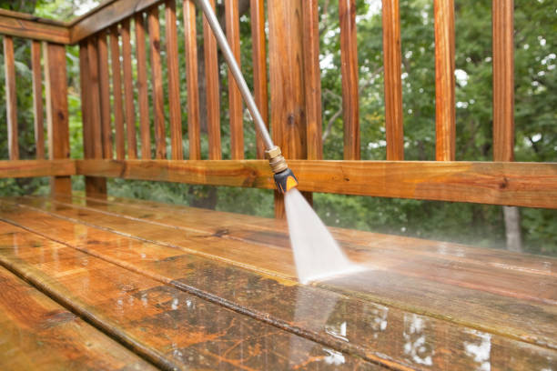 Best Pressure Washing Siding  in Fruitland, MD