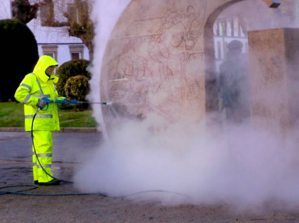 Best Fence Pressure Washing  in Fruitland, MD